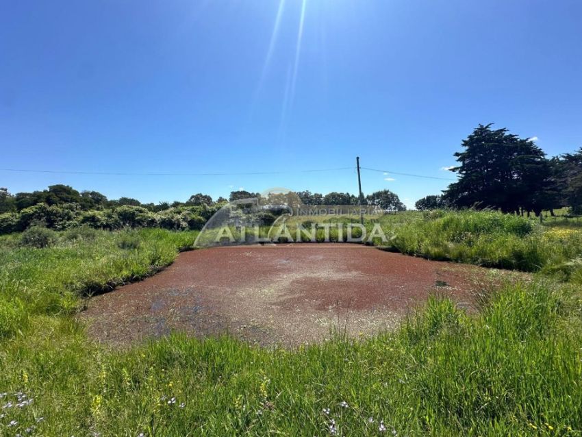 Foto de Venta De Hermoso Campo, A 5 Minutos De Atl&aacute;ntida Y Metros De Ruta 11. Inm Atl&aacute;ntida.